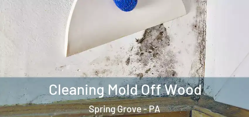  Cleaning Mold Off Wood Spring Grove - PA