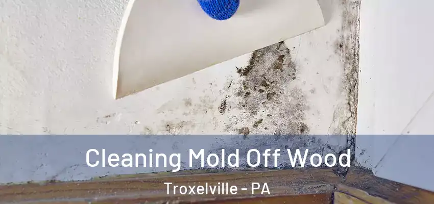  Cleaning Mold Off Wood Troxelville - PA