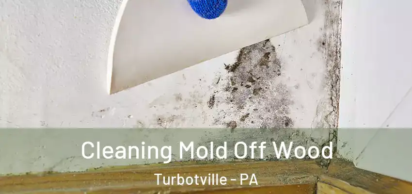 Cleaning Mold Off Wood Turbotville - PA