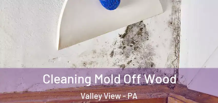  Cleaning Mold Off Wood Valley View - PA