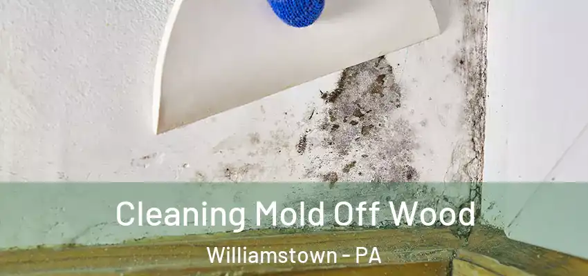  Cleaning Mold Off Wood Williamstown - PA