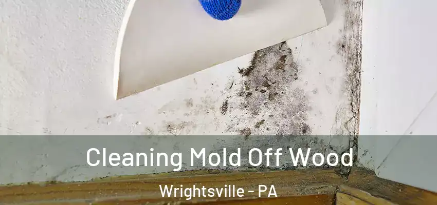  Cleaning Mold Off Wood Wrightsville - PA