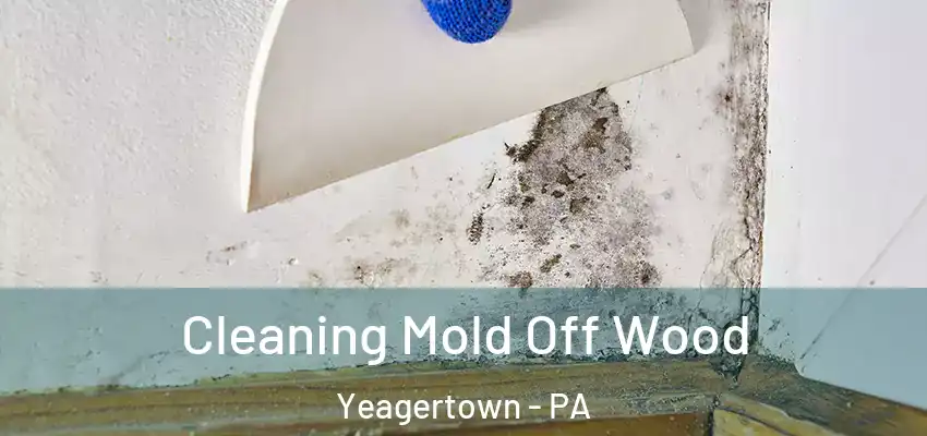  Cleaning Mold Off Wood Yeagertown - PA