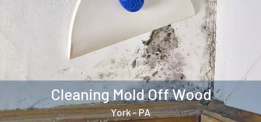  Cleaning Mold Off Wood York - PA