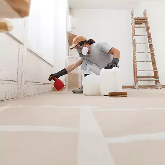 Reliable Mold Stain Remover Specialists in Tremont, PA