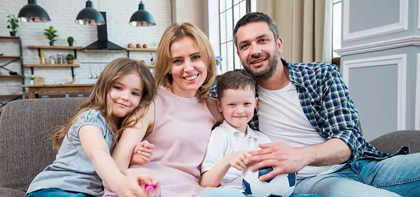 Black Mold Eradication Tremont