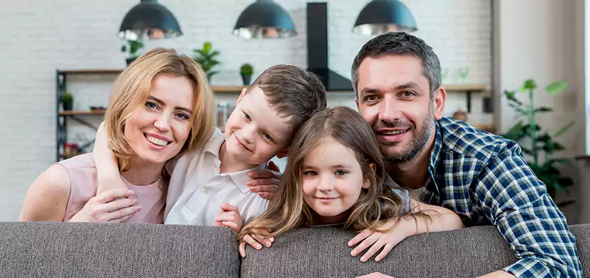 Attic Mold Abatement Tremont, PA