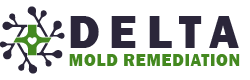 Delta Mold Remediation
