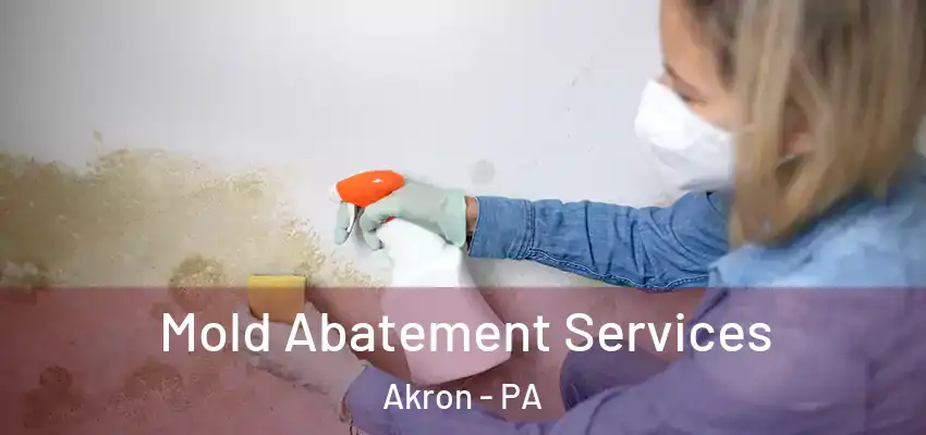 Mold Abatement Services Akron - PA