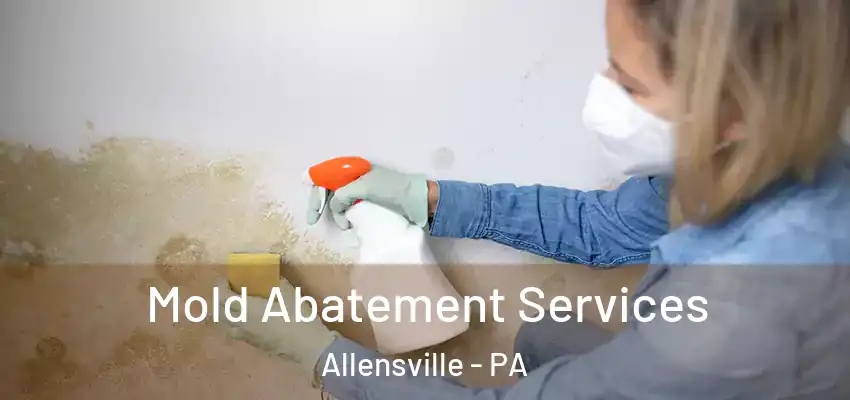 Mold Abatement Services Allensville - PA