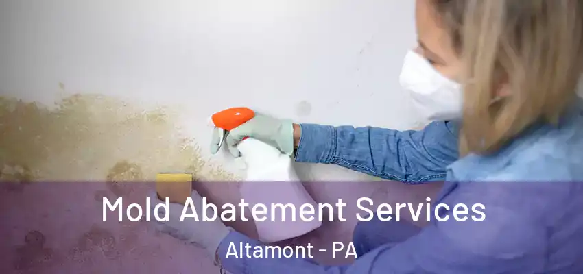 Mold Abatement Services Altamont - PA