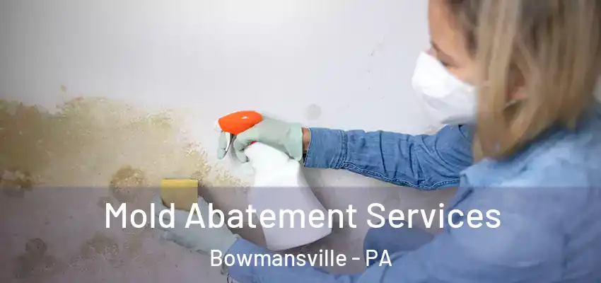  Mold Abatement Services Bowmansville - PA