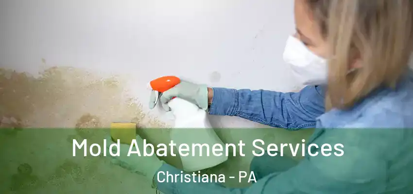 Mold Abatement Services Christiana - PA