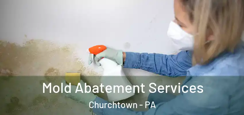Mold Abatement Services Churchtown - PA