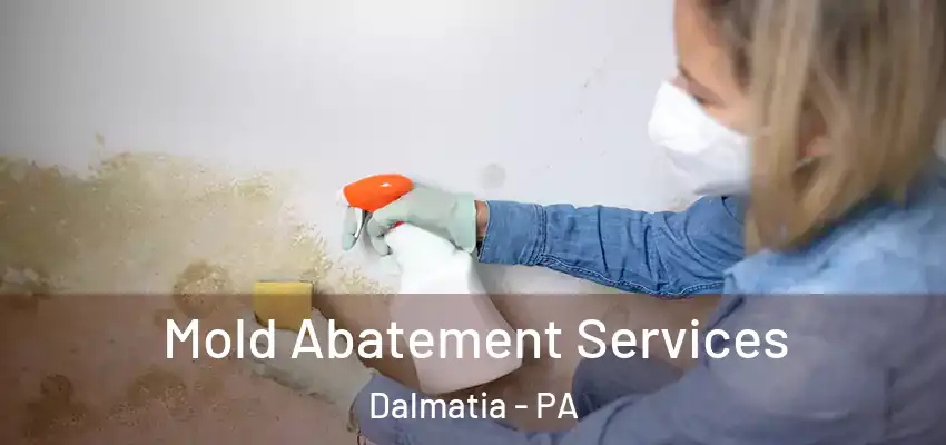 Mold Abatement Services Dalmatia - PA