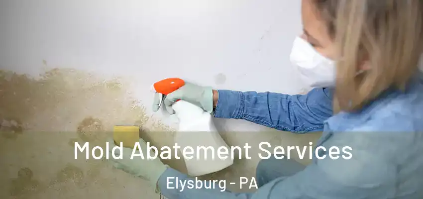  Mold Abatement Services Elysburg - PA