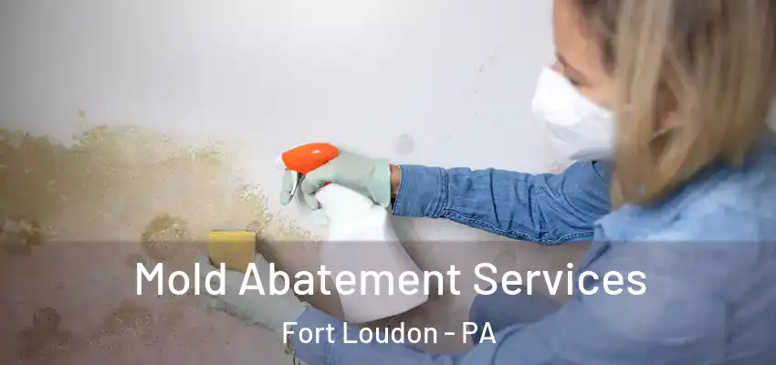  Mold Abatement Services Fort Loudon - PA