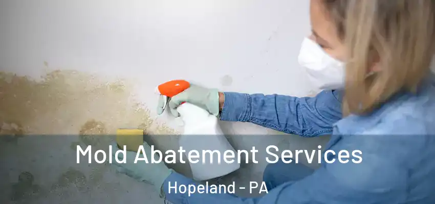  Mold Abatement Services Hopeland - PA