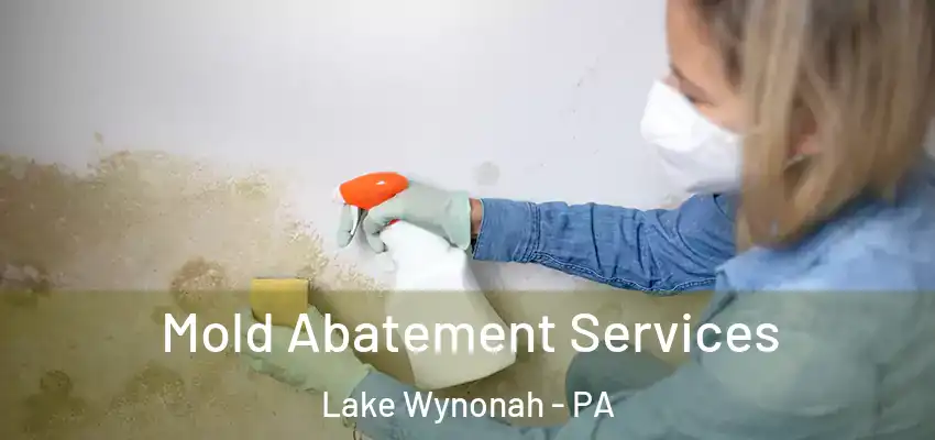  Mold Abatement Services Lake Wynonah - PA