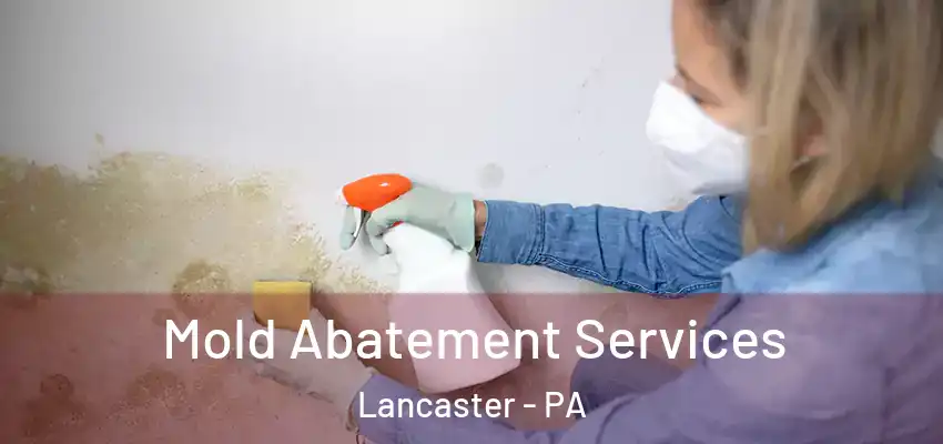  Mold Abatement Services Lancaster - PA