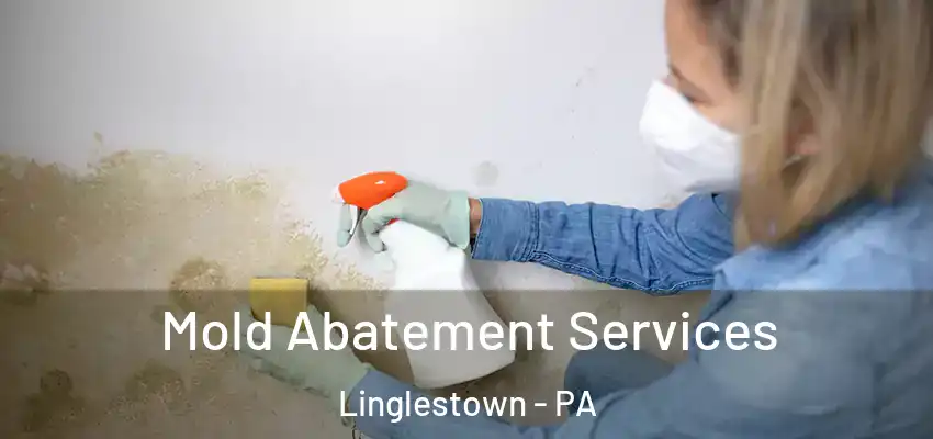 Mold Abatement Services Linglestown - PA