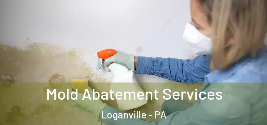  Mold Abatement Services Loganville - PA