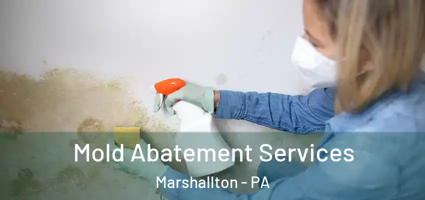  Mold Abatement Services Marshallton - PA
