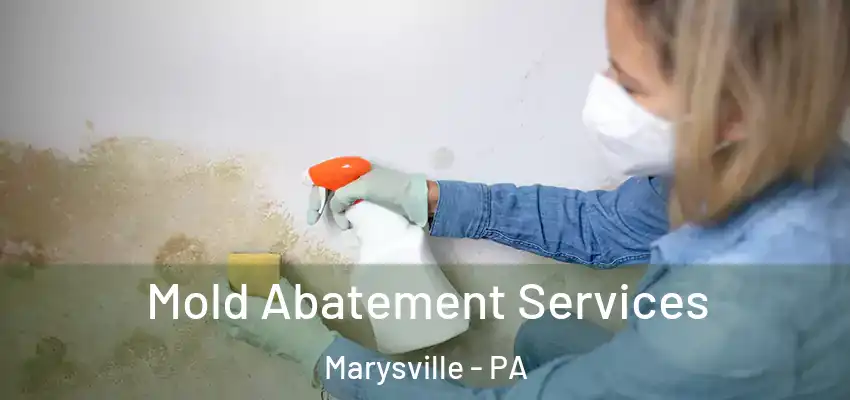  Mold Abatement Services Marysville - PA