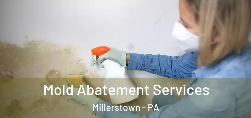 Mold Abatement Services Millerstown - PA