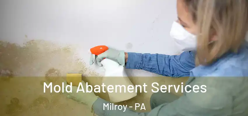  Mold Abatement Services Milroy - PA
