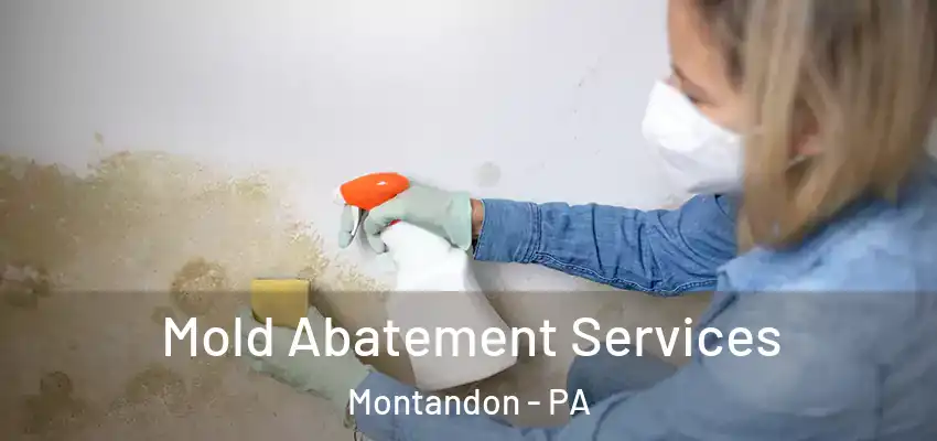  Mold Abatement Services Montandon - PA