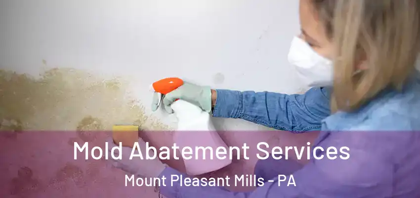 Mold Abatement Services Mount Pleasant Mills - PA