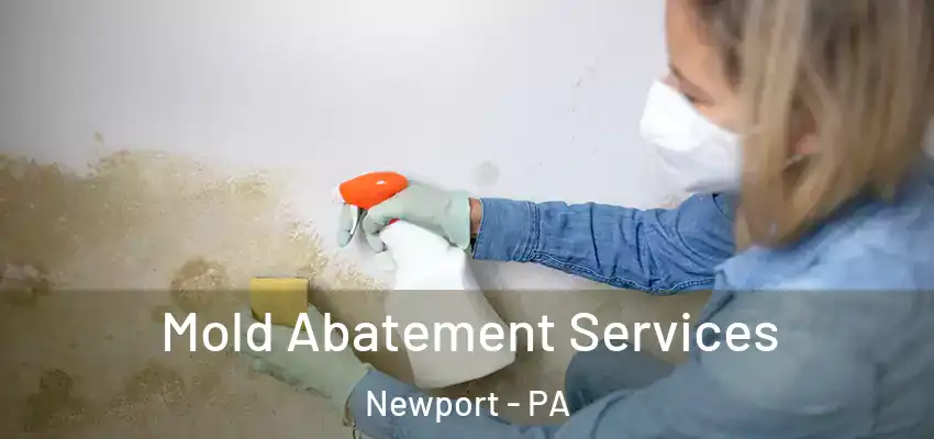 Mold Abatement Services Newport - PA