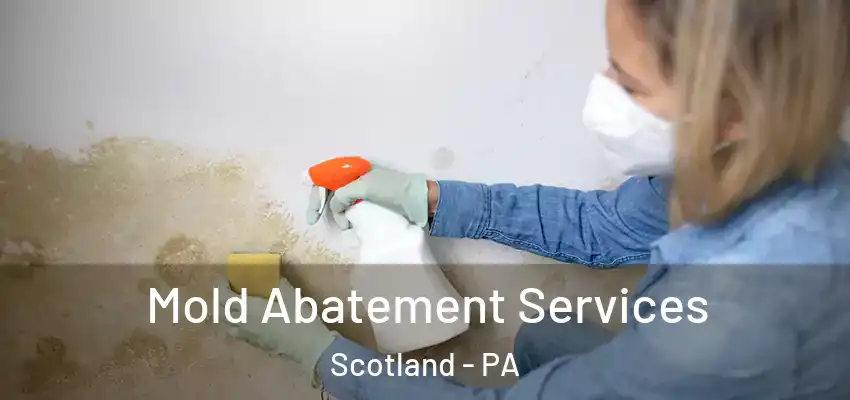  Mold Abatement Services Scotland - PA