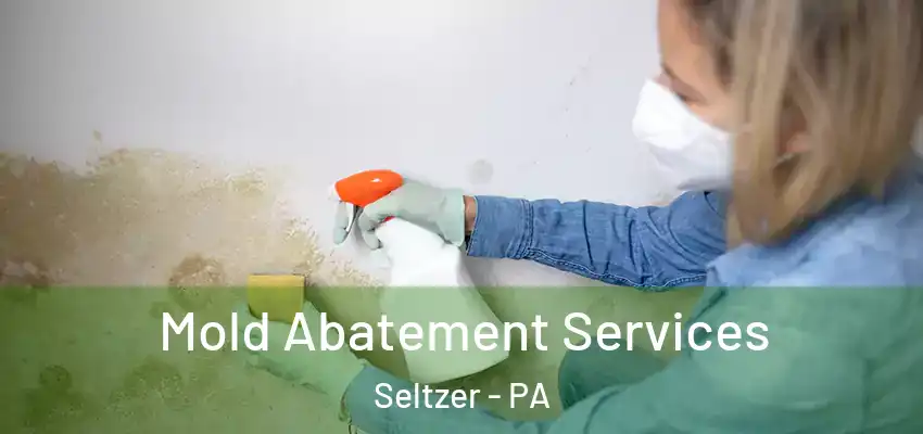  Mold Abatement Services Seltzer - PA