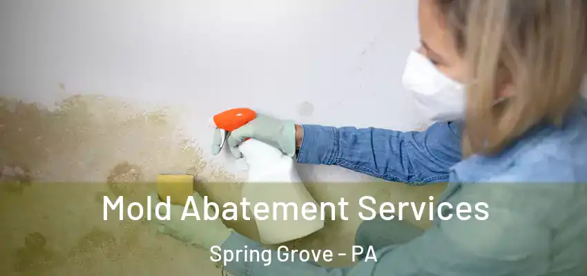  Mold Abatement Services Spring Grove - PA