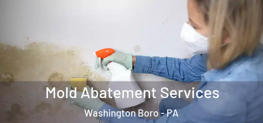 Mold Abatement Services Washington Boro - PA