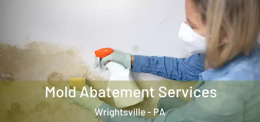 Mold Abatement Services Wrightsville - PA