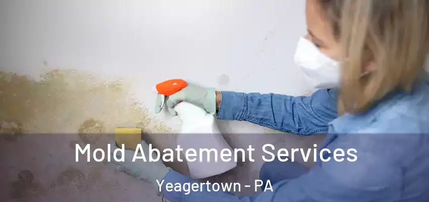  Mold Abatement Services Yeagertown - PA