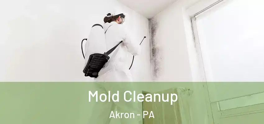 Mold Cleanup Akron - PA