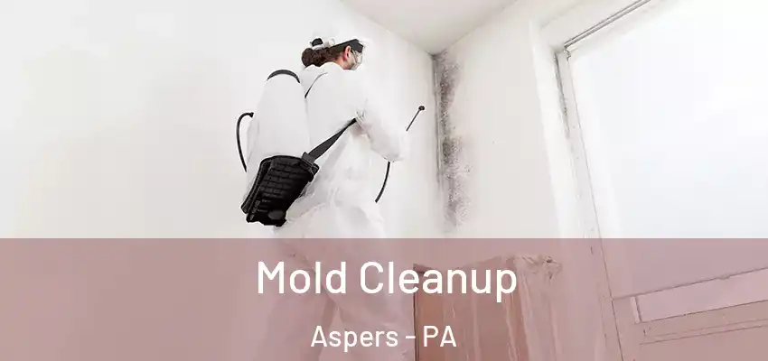  Mold Cleanup Aspers - PA
