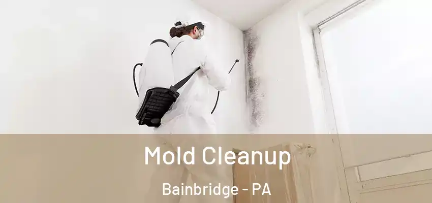  Mold Cleanup Bainbridge - PA