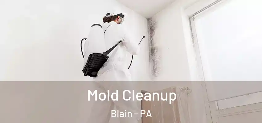  Mold Cleanup Blain - PA