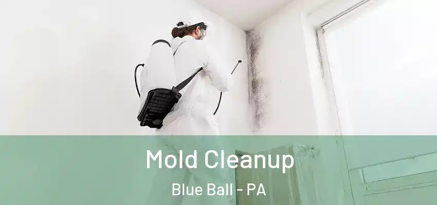 Mold Cleanup Blue Ball - PA