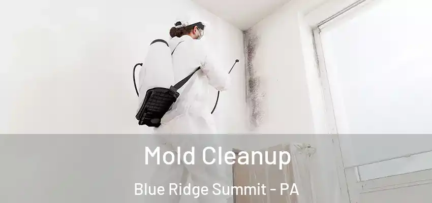 Mold Cleanup Blue Ridge Summit - PA
