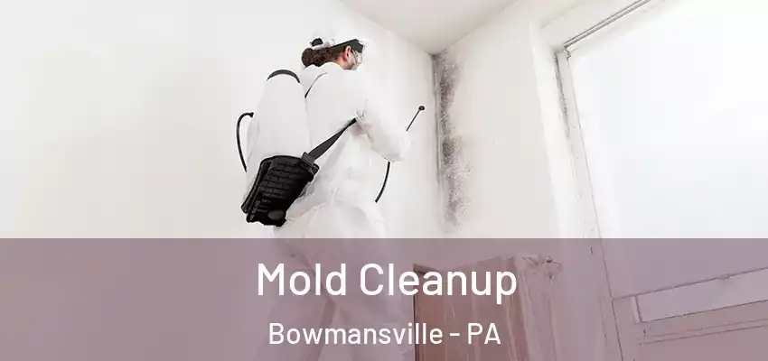 Mold Cleanup Bowmansville - PA