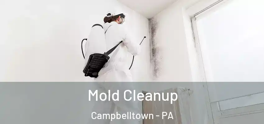 Mold Cleanup Campbelltown - PA