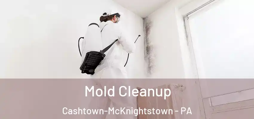  Mold Cleanup Cashtown-McKnightstown - PA