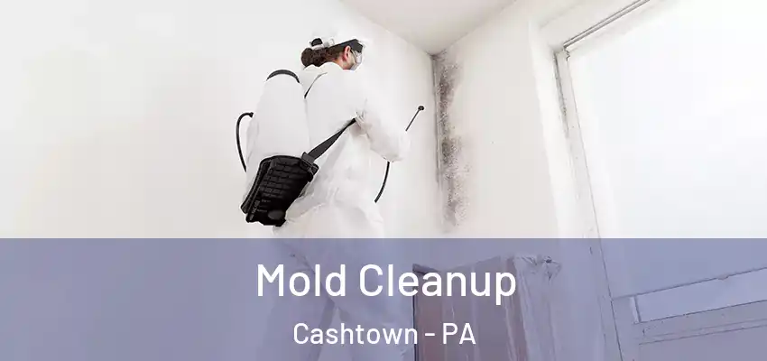  Mold Cleanup Cashtown - PA