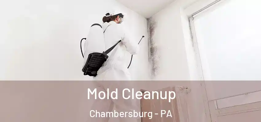 Mold Cleanup Chambersburg - PA